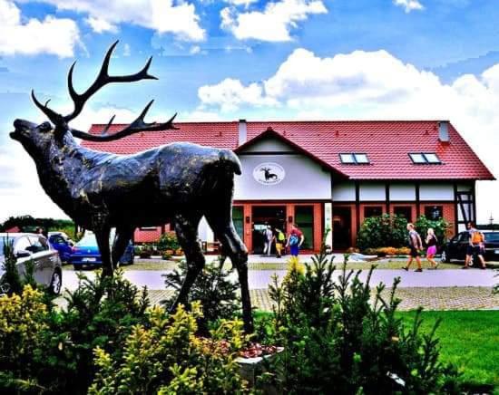 Pensjonat i Restauracja Hubertówka Milicz Exterior foto